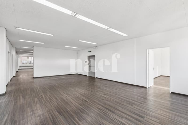 Nouvelle surface commerciale disponible de 534 m2 (5)