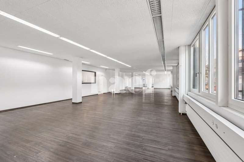 Nouvelle surface commerciale disponible de 534 m2 (4)