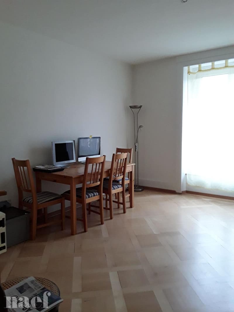 Bel appartement de 3 pièces à Neuchâtel (quartier de la Maladière) (5)