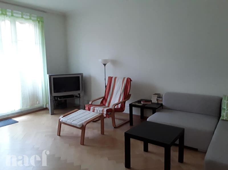 Bel appartement de 3 pièces à Neuchâtel (quartier de la Maladière) (4)