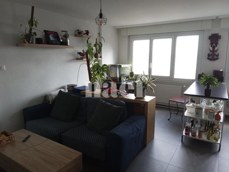 Charmant logement avec vue sur le lac (2)
