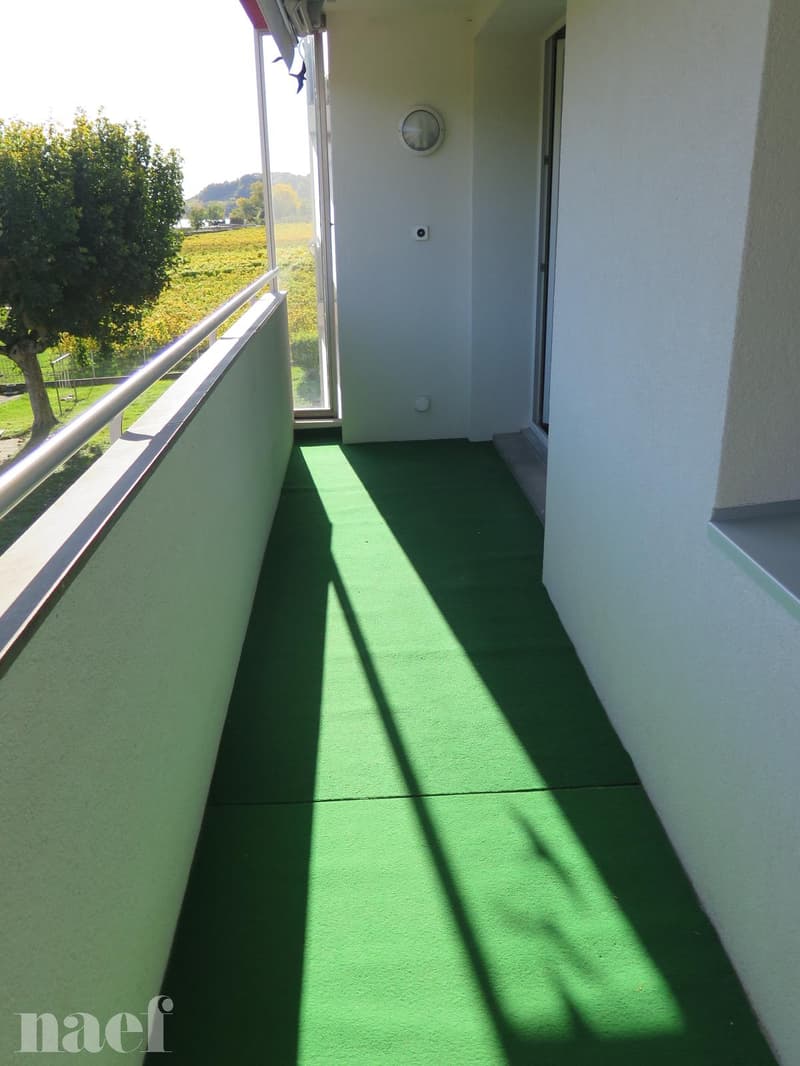 Très bel appartement, situé dans un quartier calme et verdoyant (5)