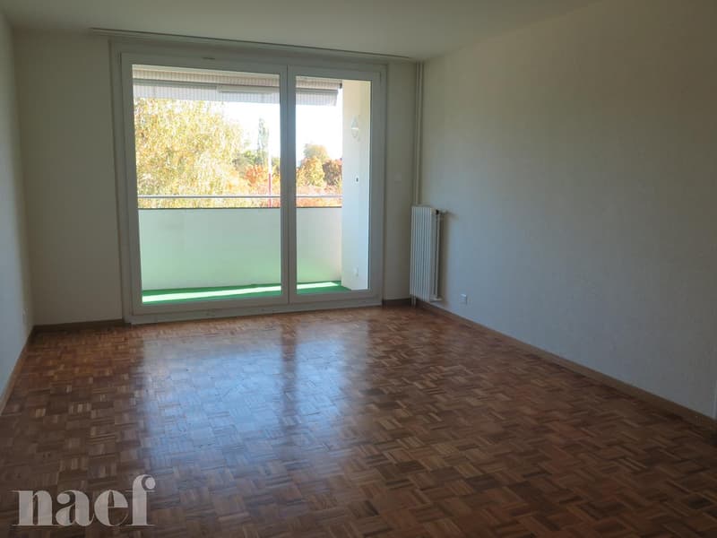 Très bel appartement, situé dans un quartier calme et verdoyant (3)