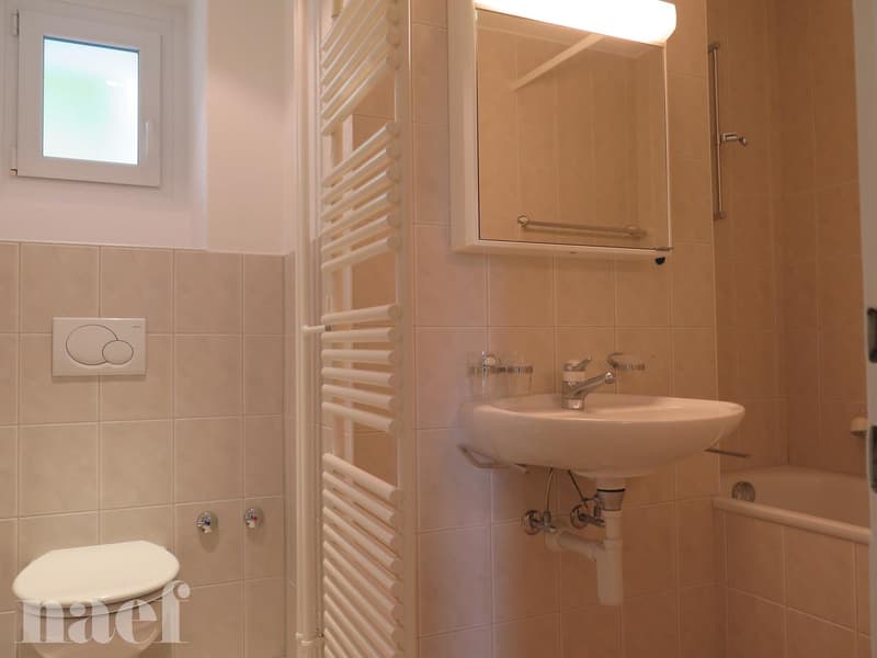 Très bel appartement, situé dans un quartier calme et verdoyant (4)