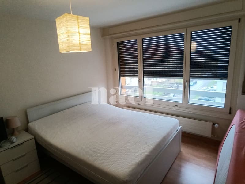 RENOVE - Bel appartement lumineux de 3.5 pièces (3)