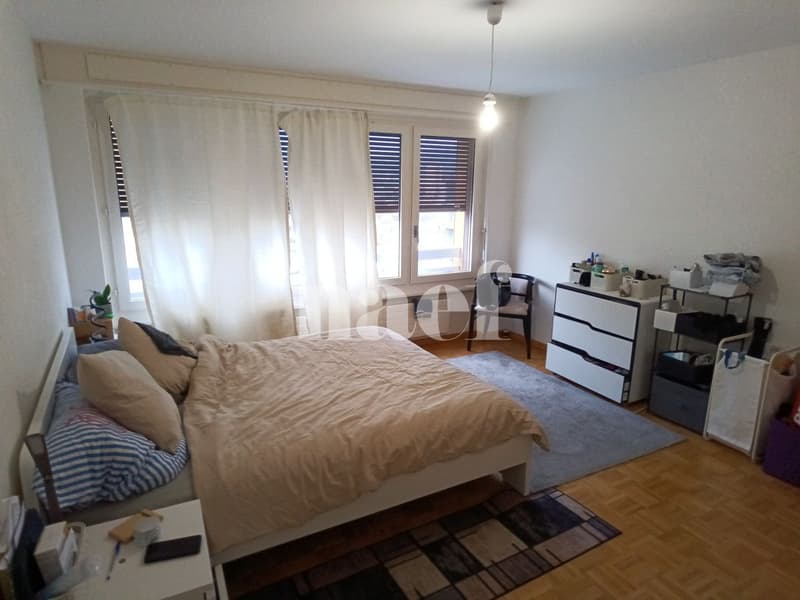 RENOVE - Bel appartement lumineux de 3.5 pièces (4)