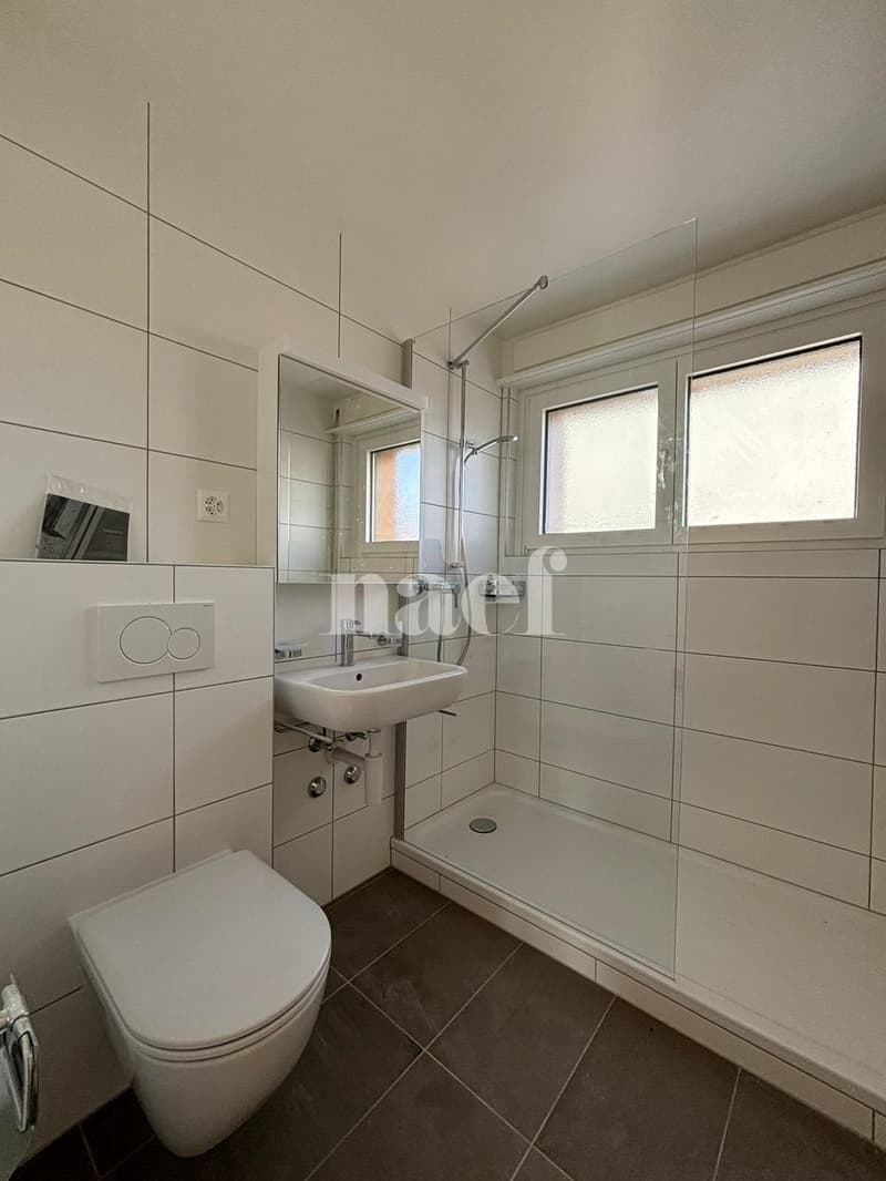 RENOVE - Bel appartement lumineux de 3.5 pièces (5)
