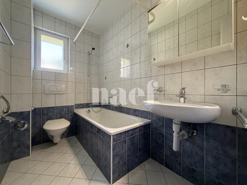 RENOVE - Superbe appartement de 3 pièces avec vue sur le lac (7)