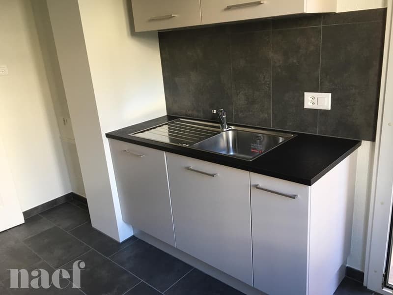 Proche du centre ville, appartement de 3 pièces (2)