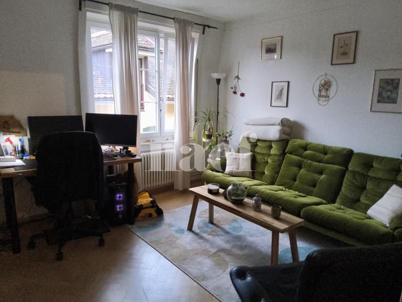 Appartement de 2,5 pièces au centre-ville de Neuchâtel (3)