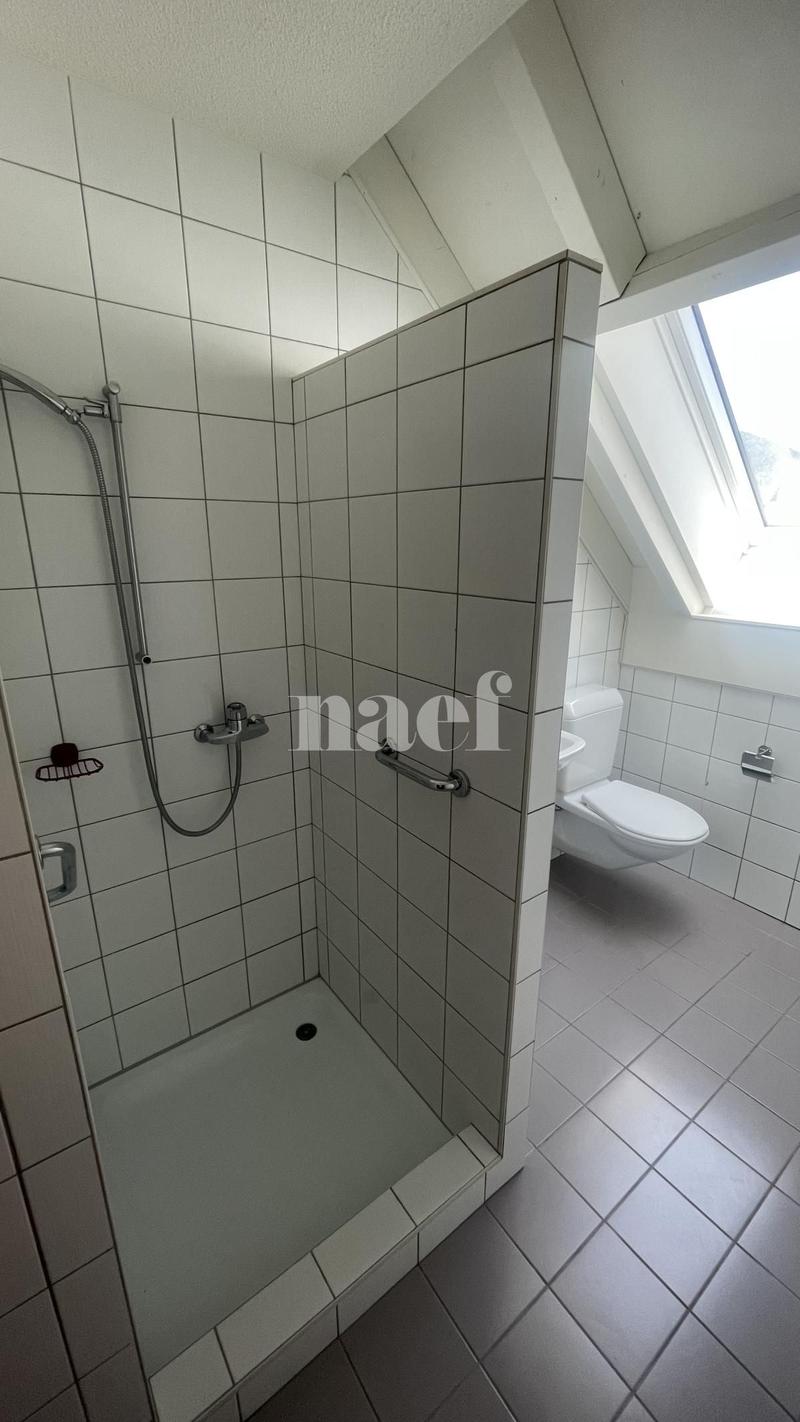 A Couvet, duplex de 160m2 (10)