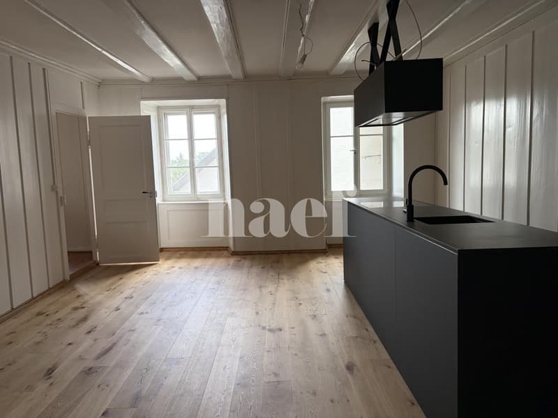 Charmant appartement rénové au coeur du Landeron (1)