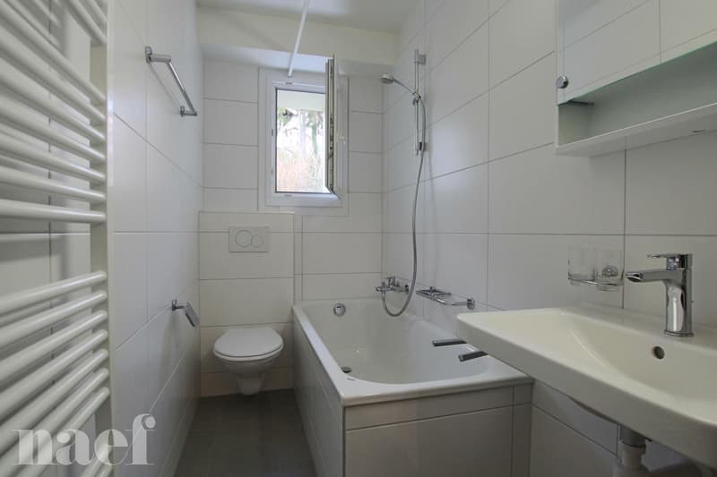 Bel appartement de 3 pièces, proche des commodités. (6)