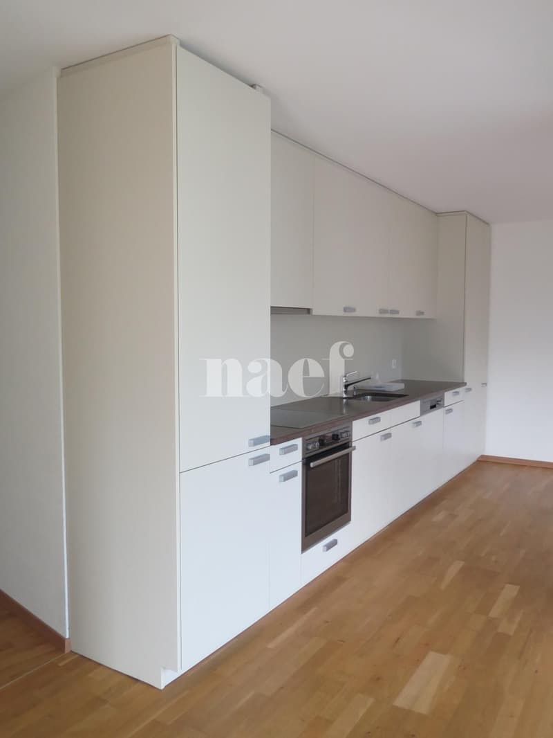 Bel Appartement lumineux avec parking souterrain (6)
