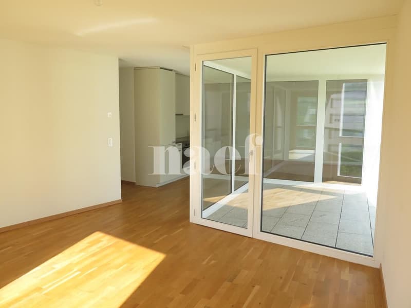Bel Appartement lumineux avec parking souterrain (7)