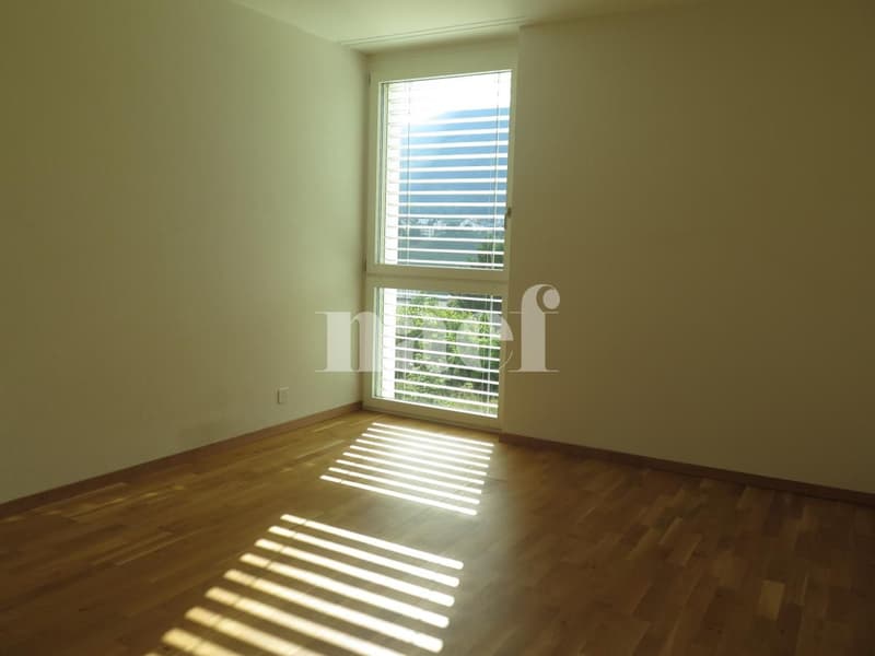 Bel Appartement lumineux avec parking souterrain (5)
