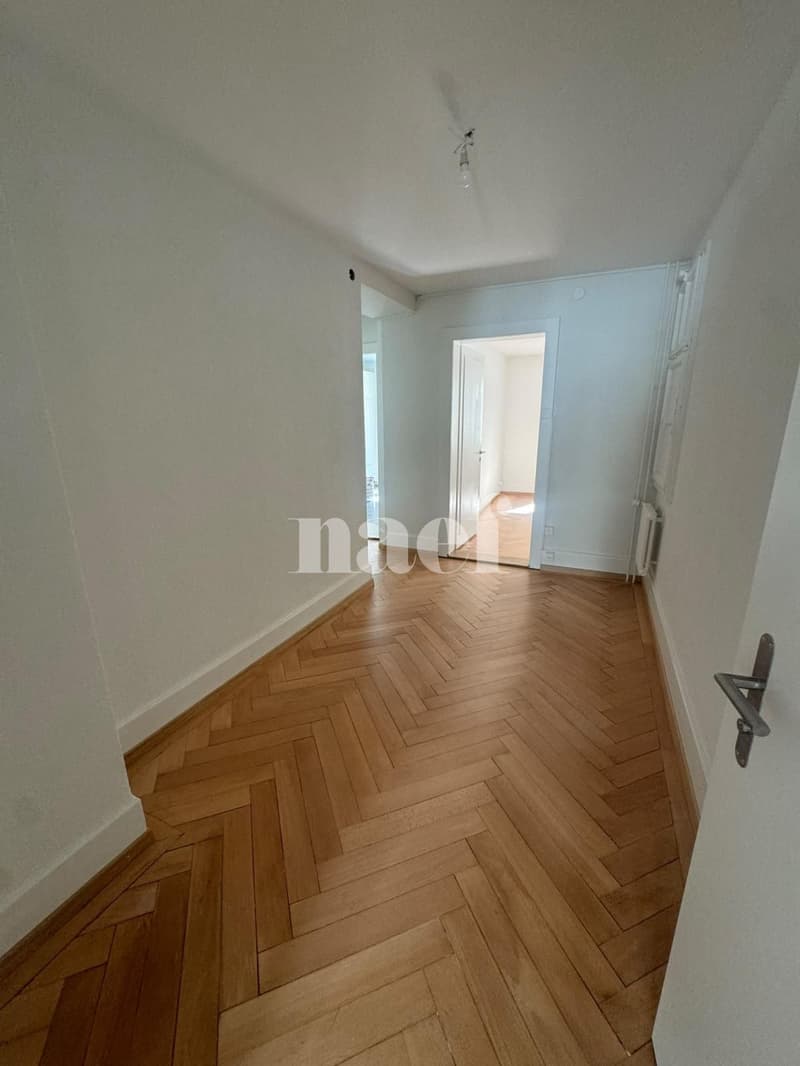 Appartement de 2 pièces en cours de rénovation en plein centre-ville (3)