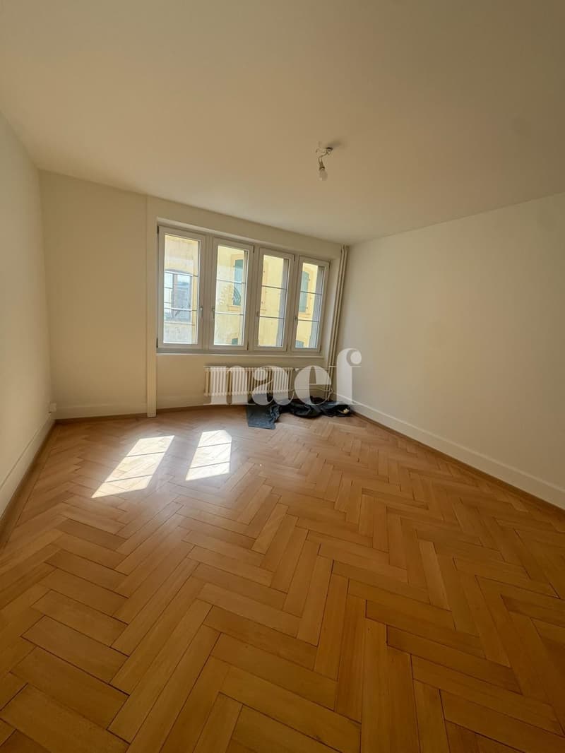 Appartement de 2 pièces en cours de rénovation en plein centre-ville (4)