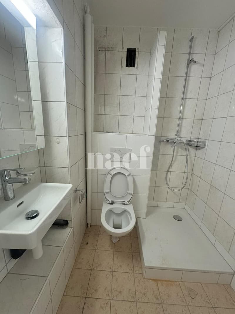 Appartement de 2 pièces en cours de rénovation en plein centre-ville (5)