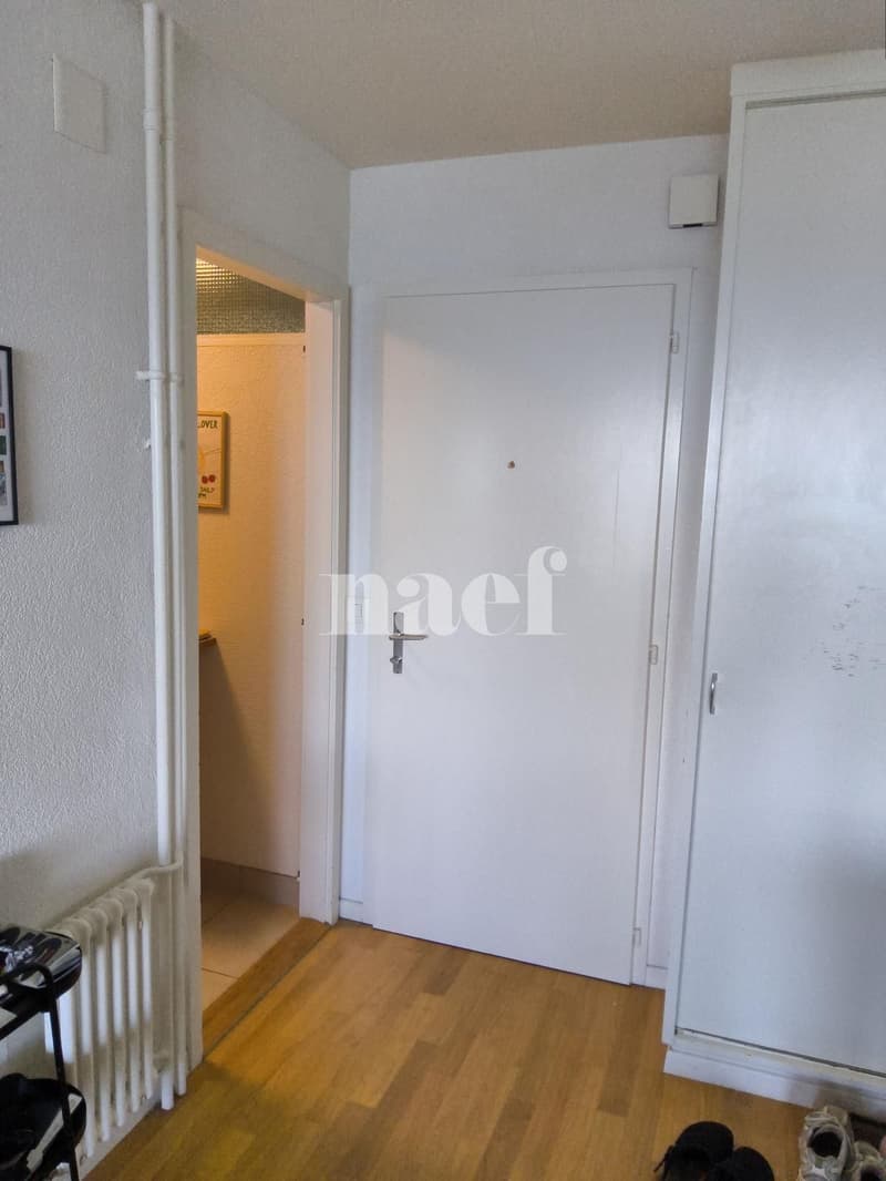 Appartement de 2 pièces au deuxième étage (4)