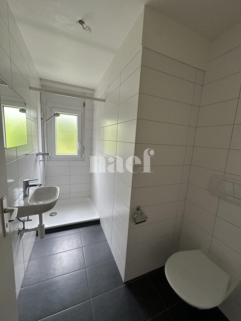 Appartement 4.5 pièces avec vue sur le lac (8)