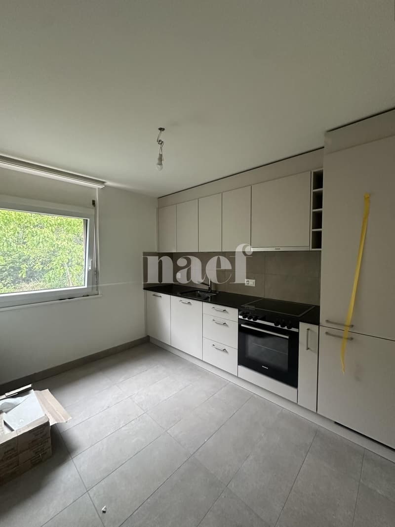 Appartement rénové avec vue sur le lac (7)