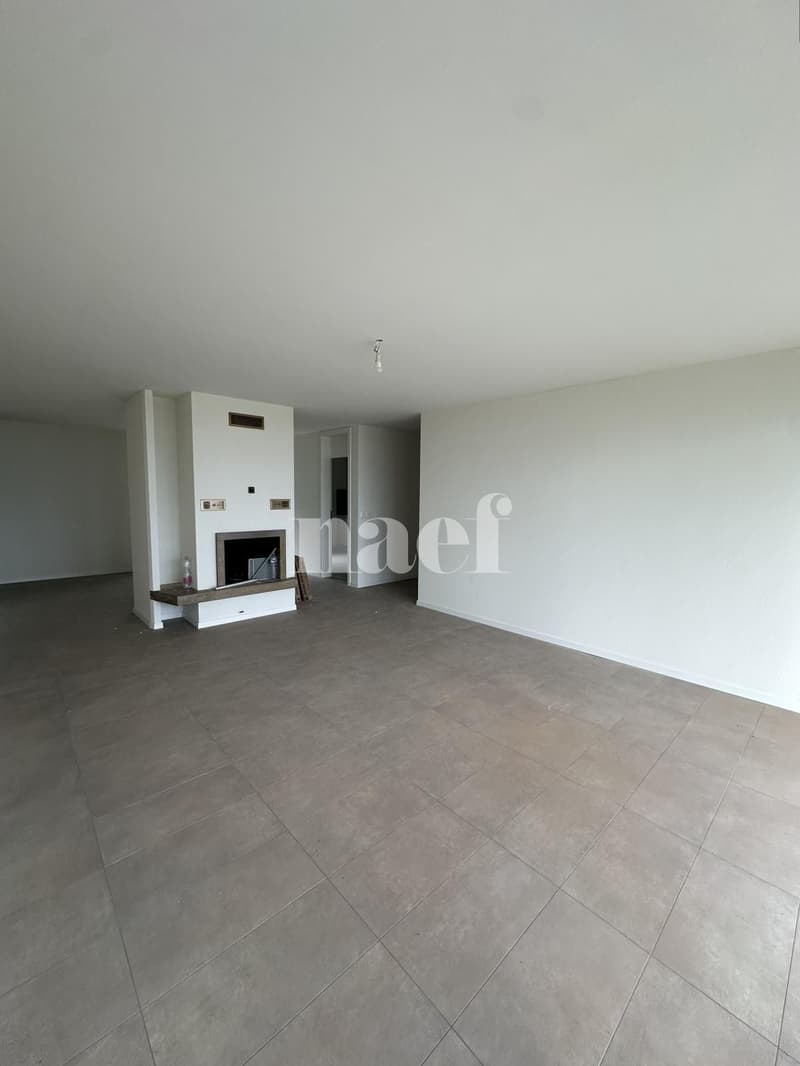 Appartement rénové avec vue sur le lac (5)