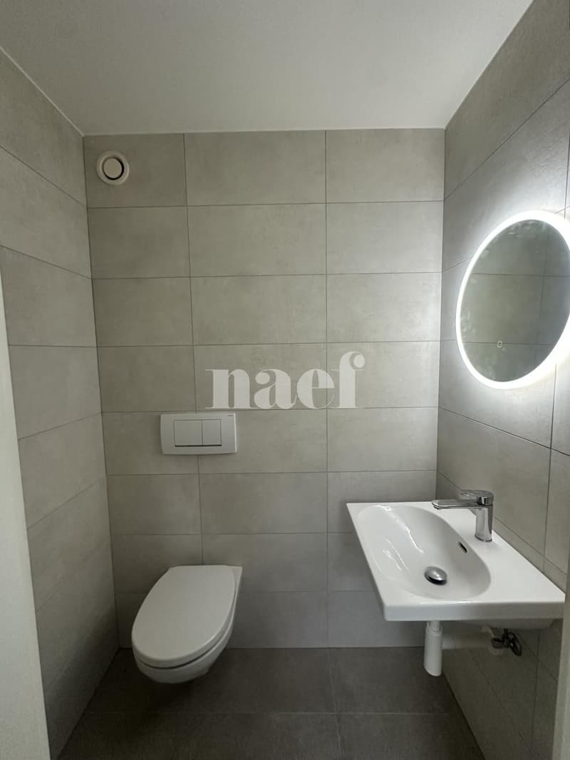 Appartement rénové avec vue sur le lac (2)