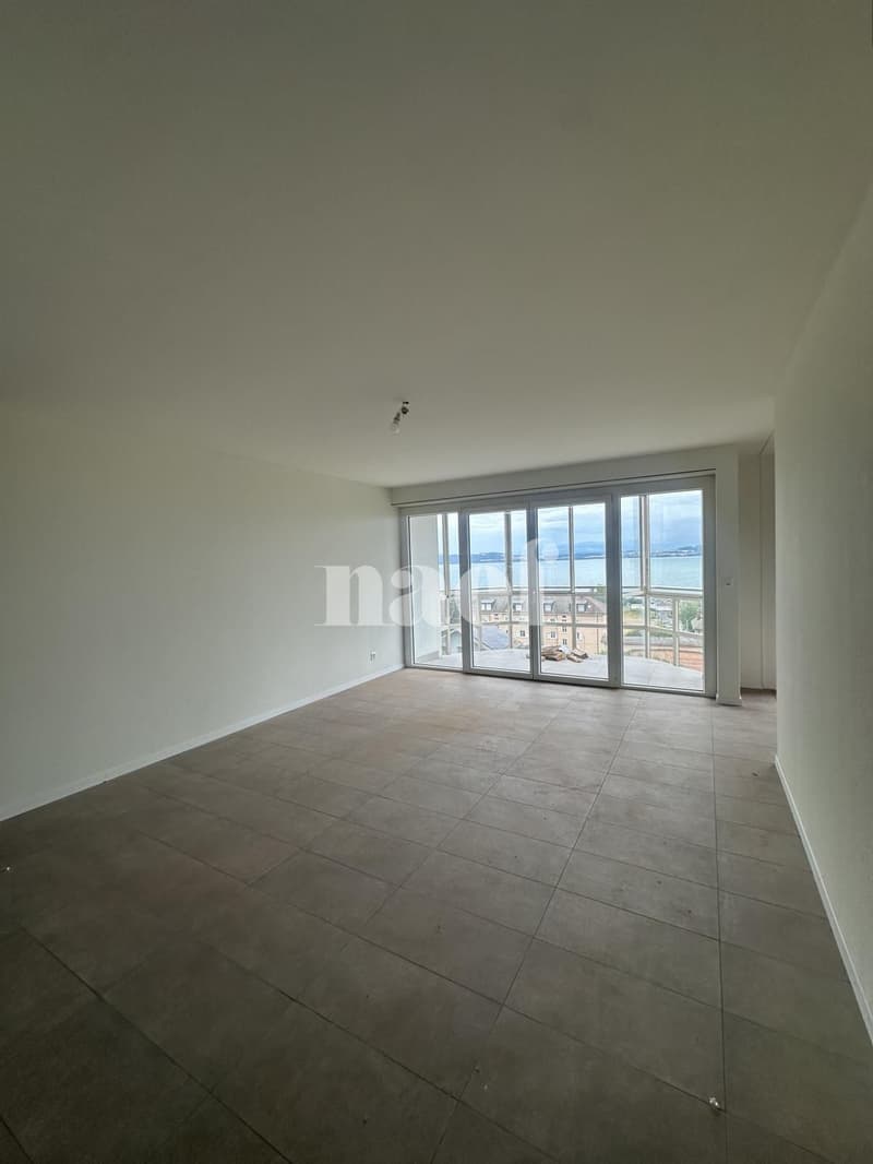 Appartement rénové avec vue sur le lac (4)
