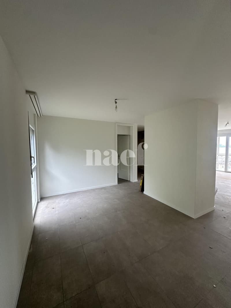 Appartement rénové avec vue sur le lac (3)
