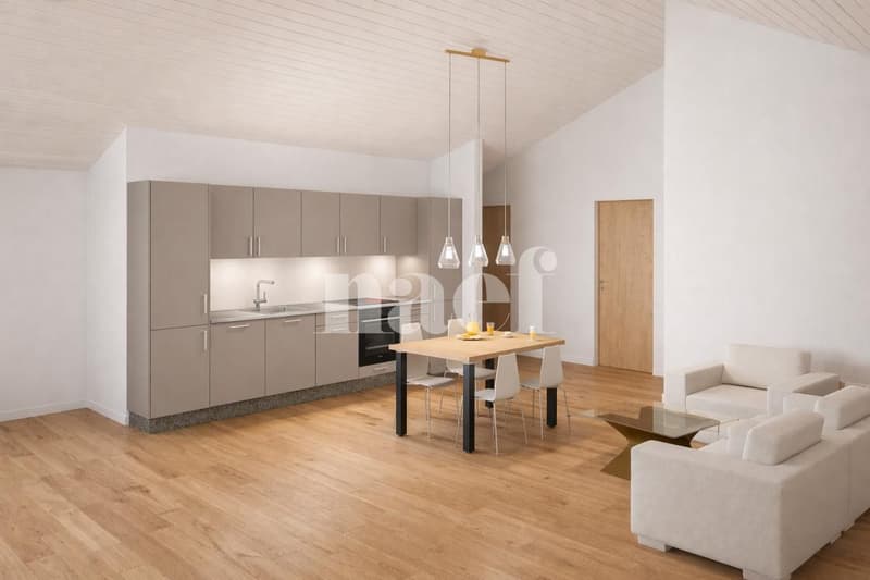 appartement en attique avec poste de conciergerie (1)