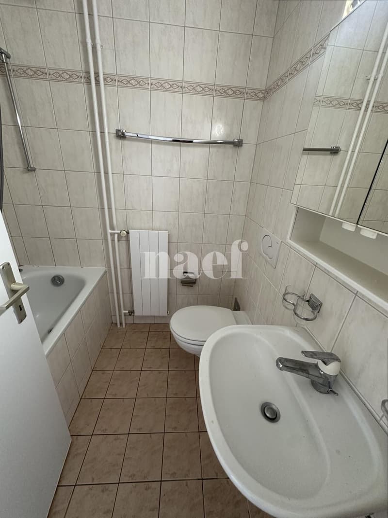 Appartement avec dégagement (7)