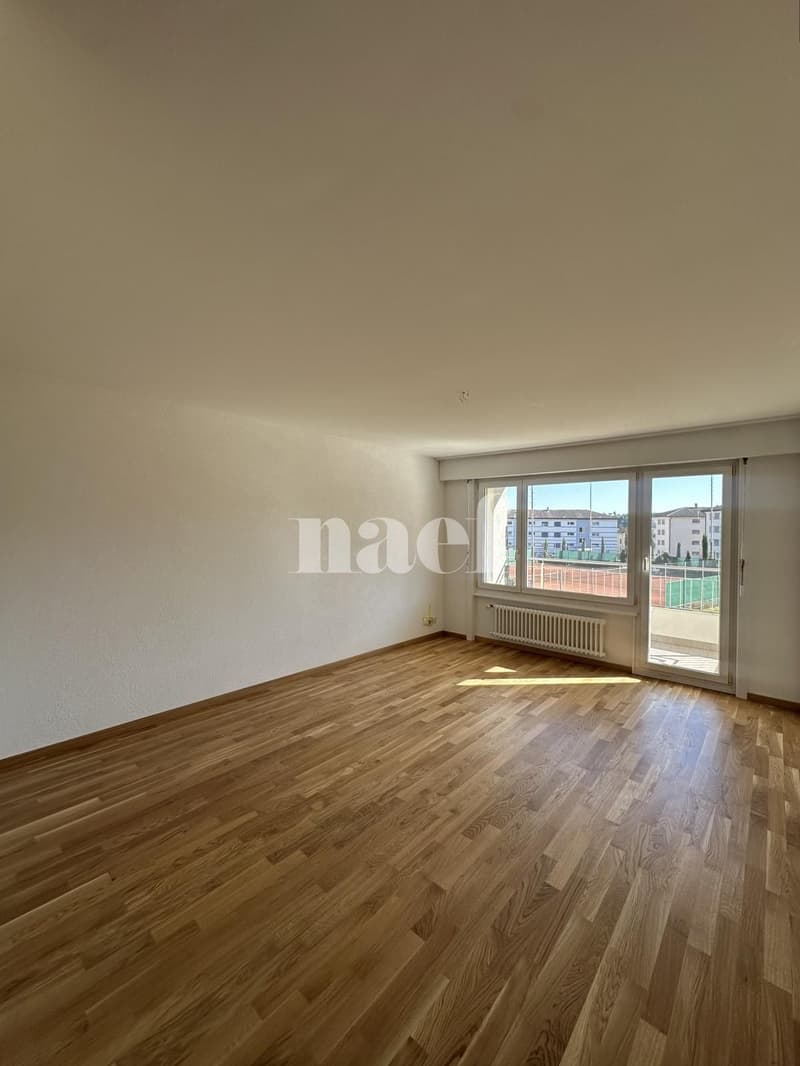 Appartement avec dégagement (2)