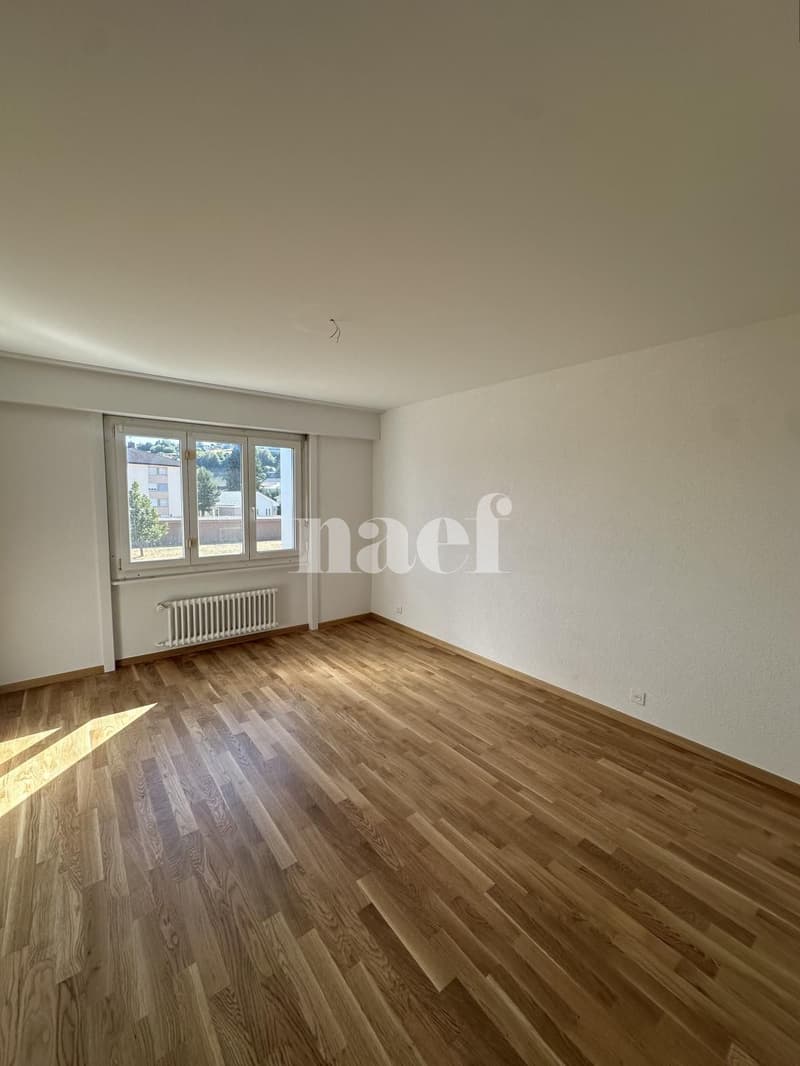 Appartement avec dégagement (3)