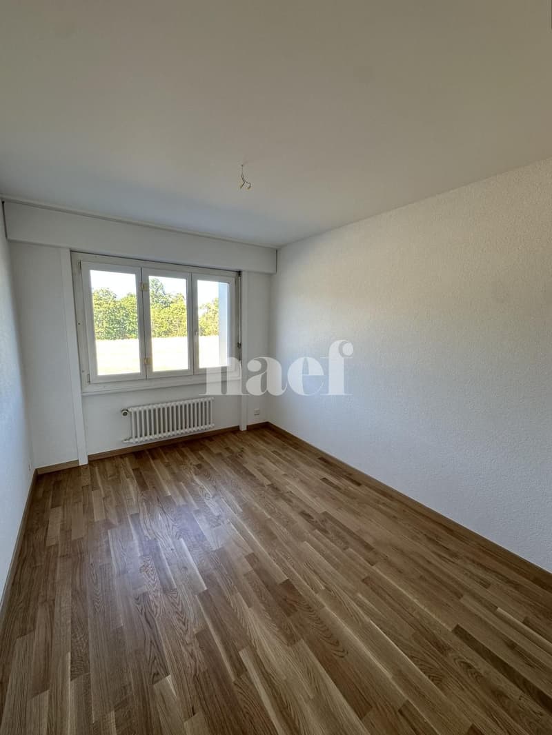 Appartement avec dégagement (4)