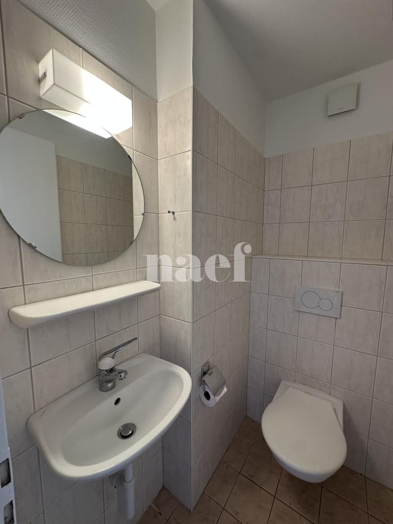 Appartement avec dégagement (6)