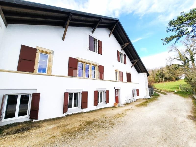 Charmant appartement de 3.5 pièces avec jardin privatif à Montmollin (1)