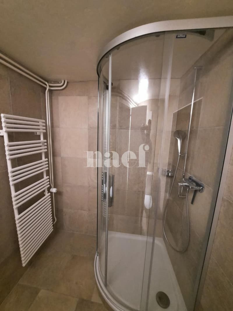Charmant appartement de 3.5 pièces avec jardin privatif à Montmollin (8)