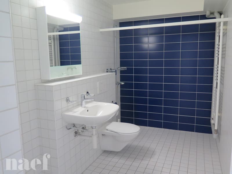 Appartement dans un immeuble protégé pour les personnes à mobilités réduites (6)