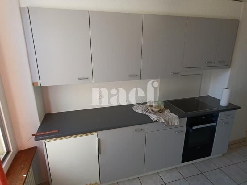 Magnifique 1.5 pièces dans une jolie petite maison à Colombier (2)