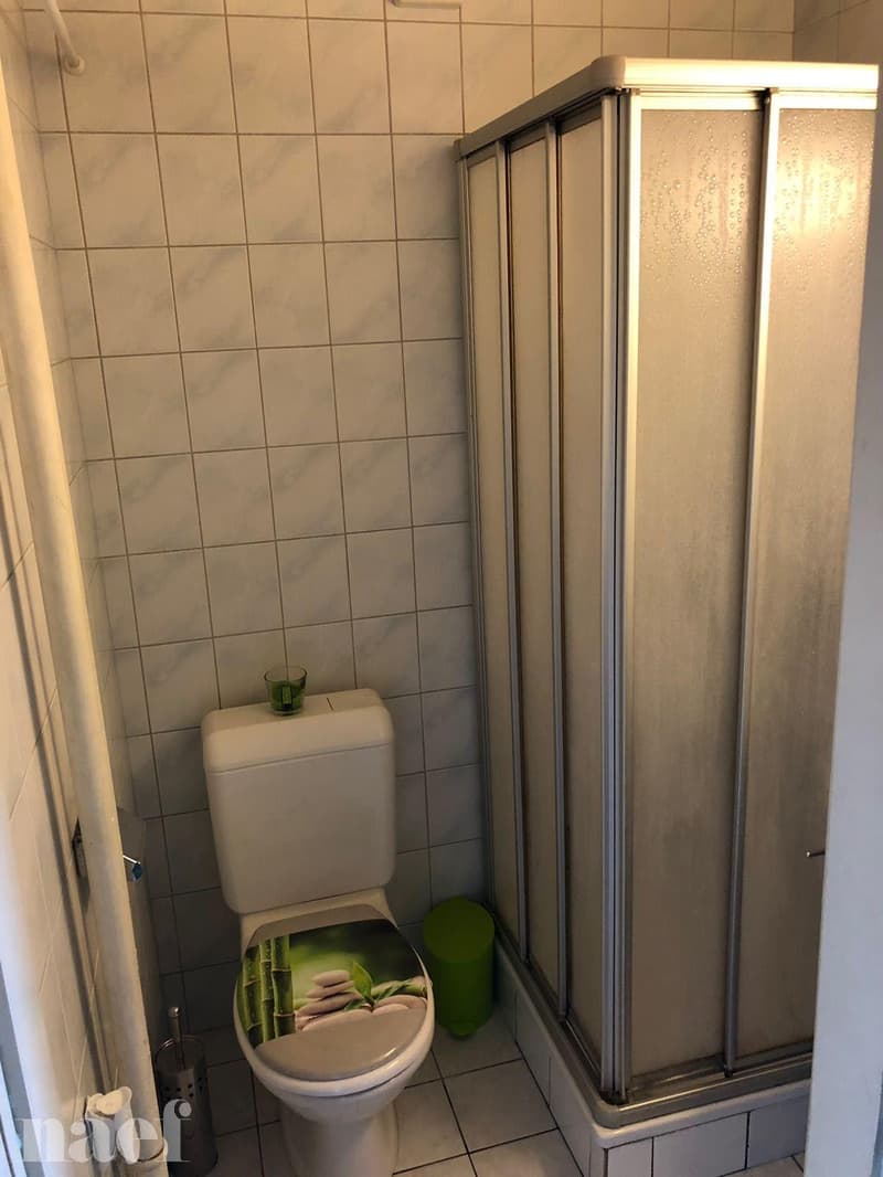 Magnifique 1.5 pièces dans une jolie petite maison à Colombier (5)