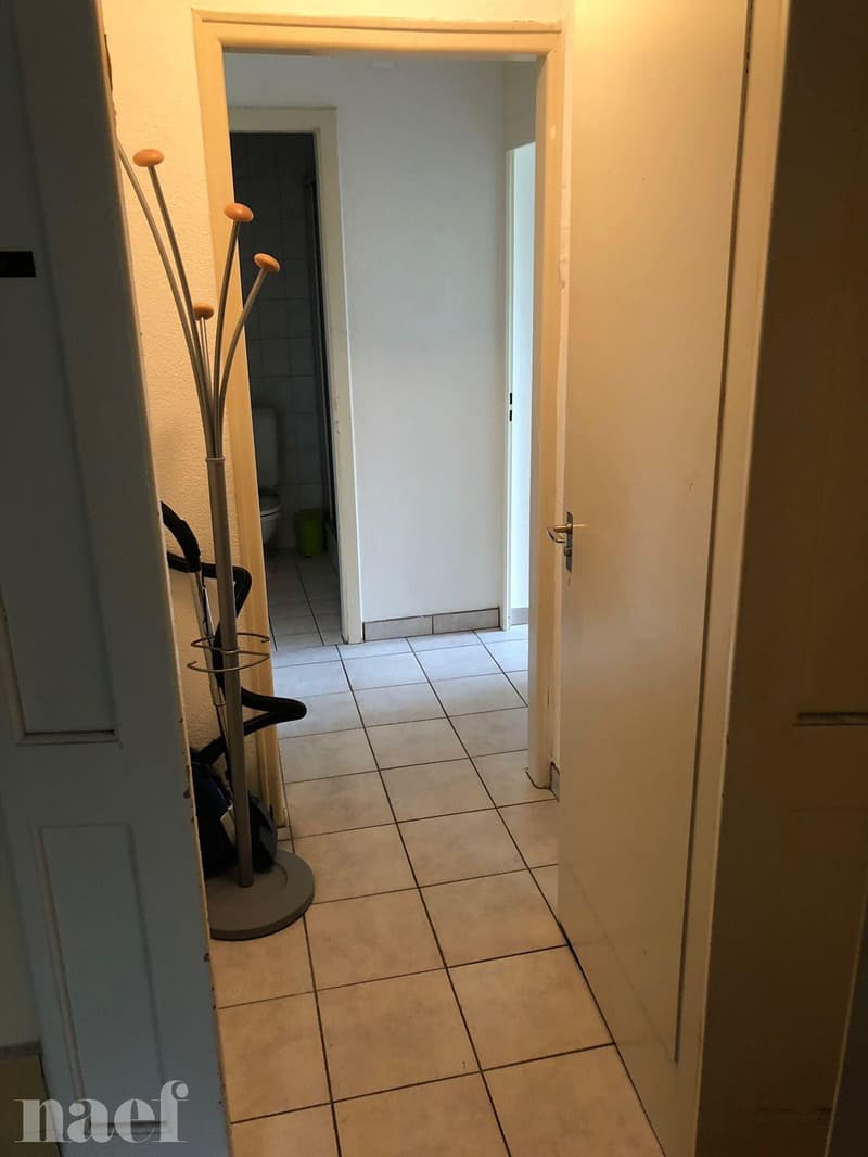 Magnifique 1.5 pièces dans une jolie petite maison à Colombier (6)