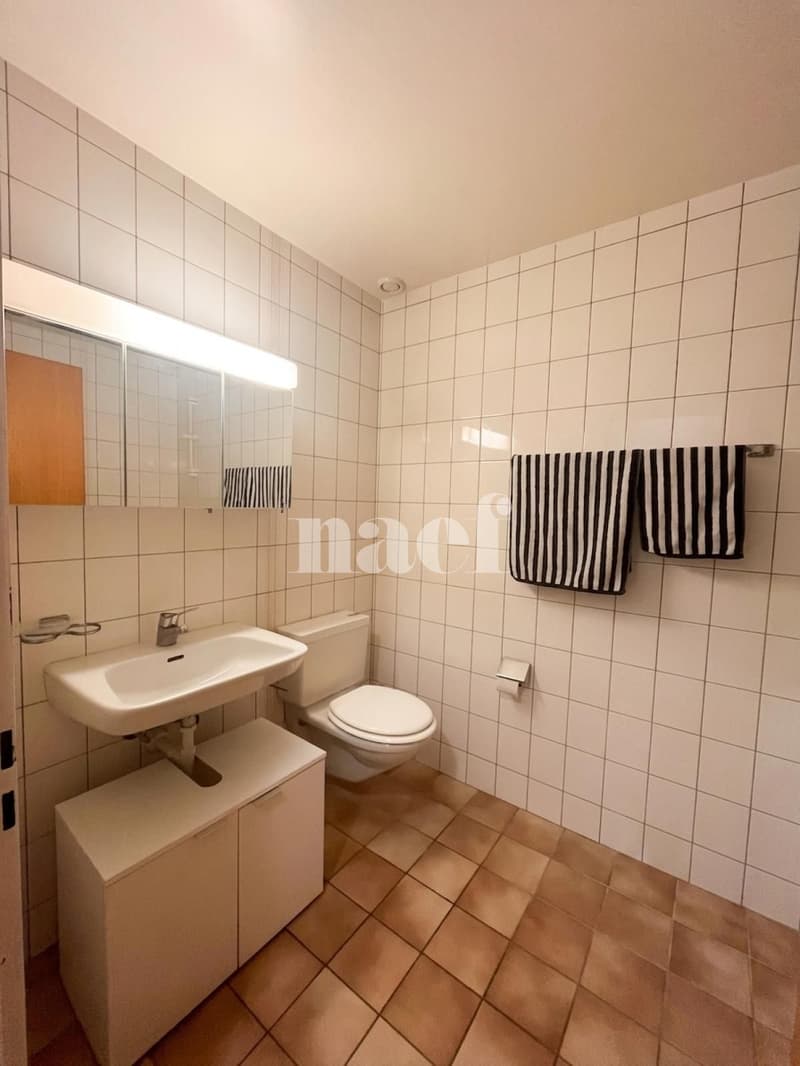 Appartement de 2.5 pièces, mansardé, belles hauteurs sous plafond, avec balcon (5)