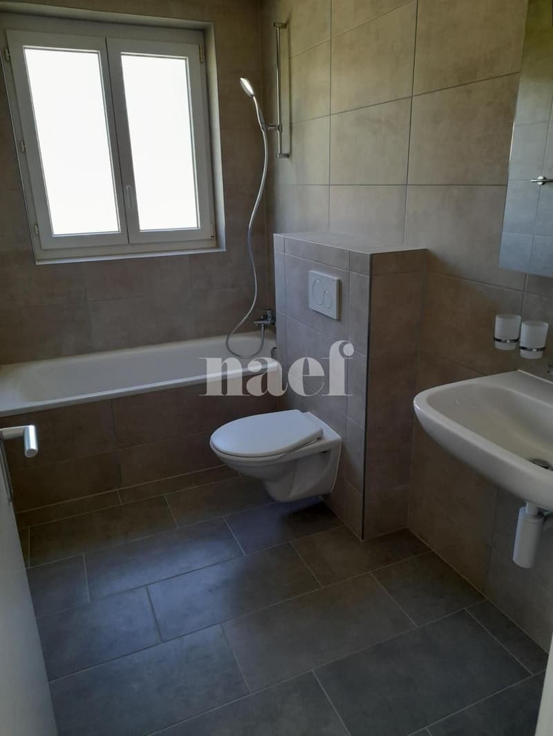 Bel appartement lumineux, entièrement rénové (3)