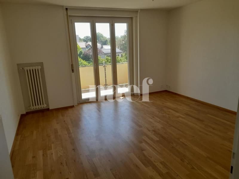 Bel appartement lumineux, entièrement rénové (4)
