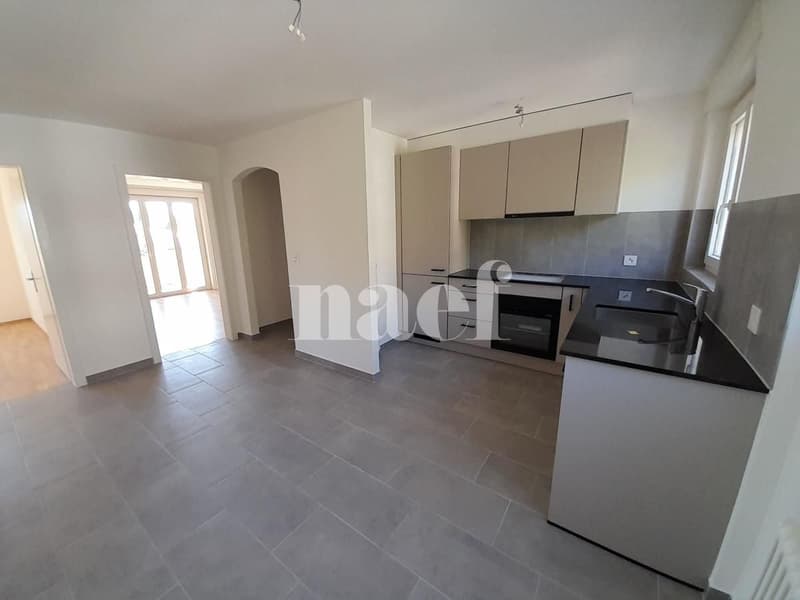 Bel appartement lumineux, entièrement rénové (7)