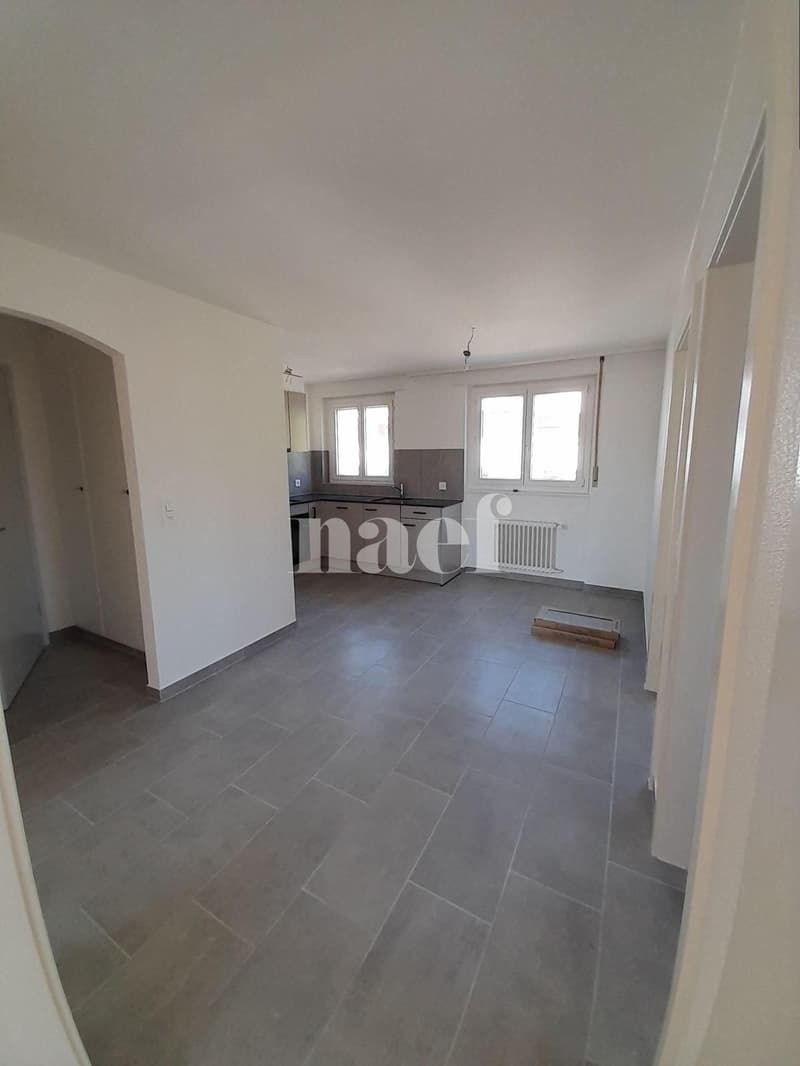 Bel appartement lumineux, entièrement rénové (2)