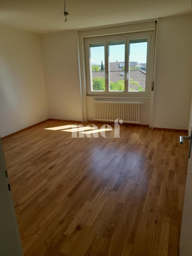 Bel appartement lumineux, entièrement rénové (5)