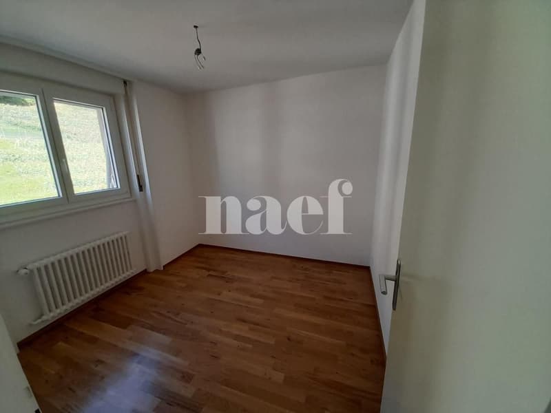 Bel appartement lumineux, entièrement rénové (6)