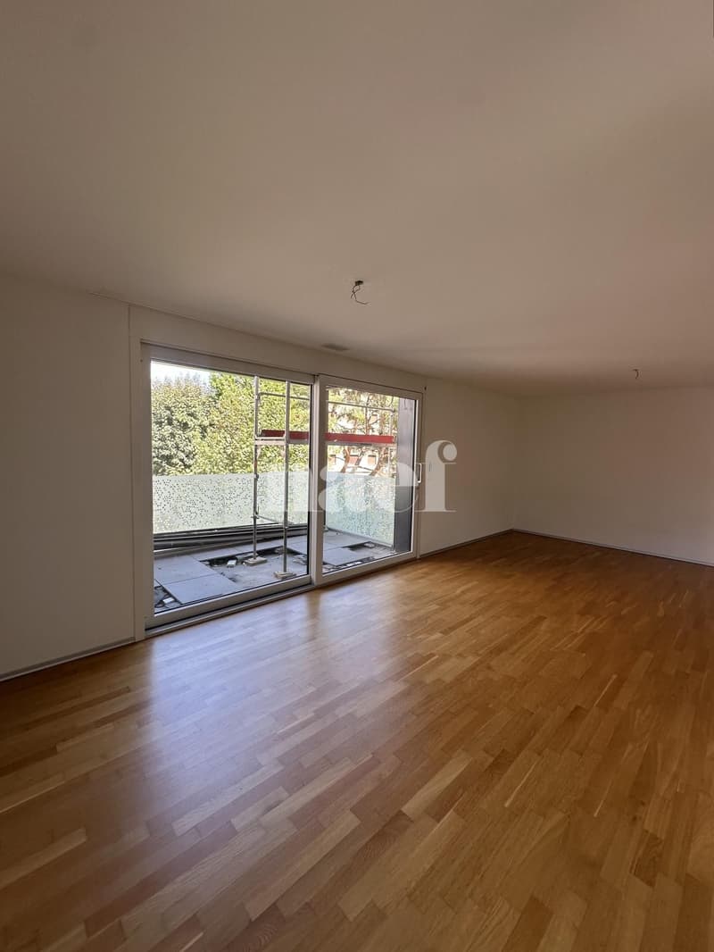 Appartement 3.5 pièces dans un immeuble récent (3)